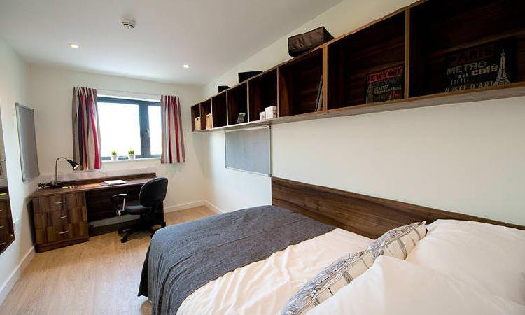 Zeni 5 Bed Apartment In Central Ексетер Екстер'єр фото